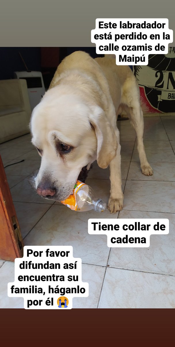 MartiBianchi7's tweet photo. Se los suplico no cuesta nada un RT!!! https://t.co/MzaLcsJuFW