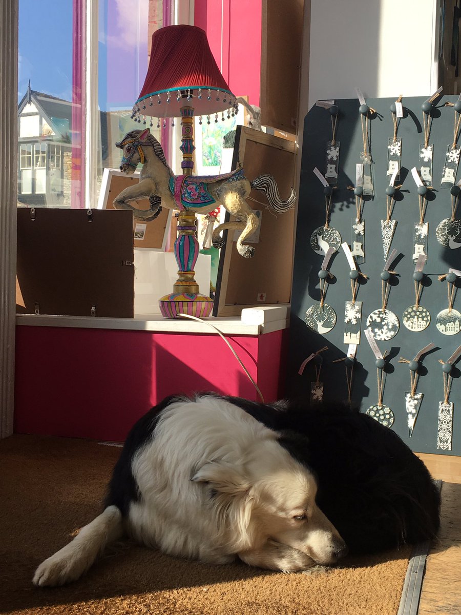 CherrydidiUK's tweet photo. Zak is enjoying the #spring sun.🌞 #zakthecolliedog #colliesofinstagram #shopdogs #shopdogsofinstagram #lakedistrict #ambleside #sunbathingdog https://t.co/oVikbRitD0