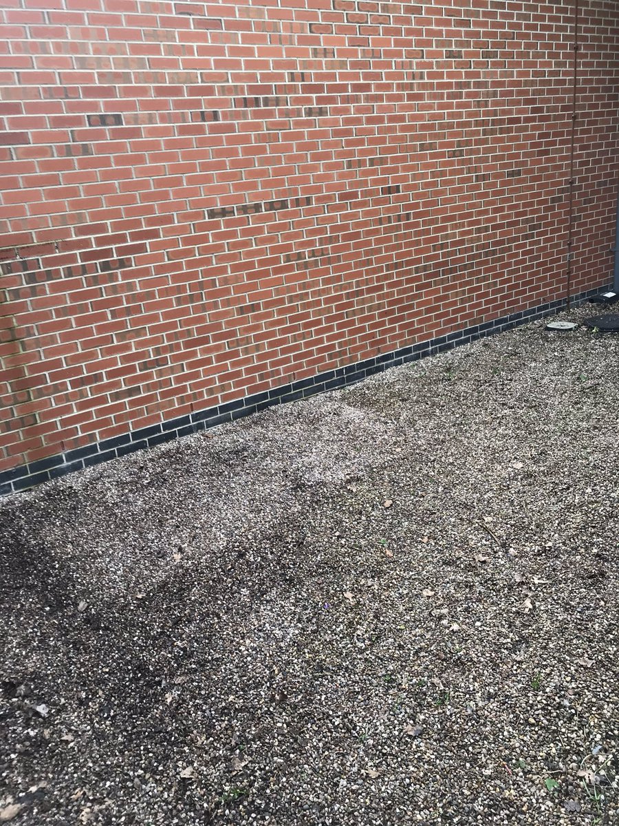 Job done, it’s all about standards. #ourcustomersseethisaswell <a href="/mycoopfood/">Central Co-op Food</a>