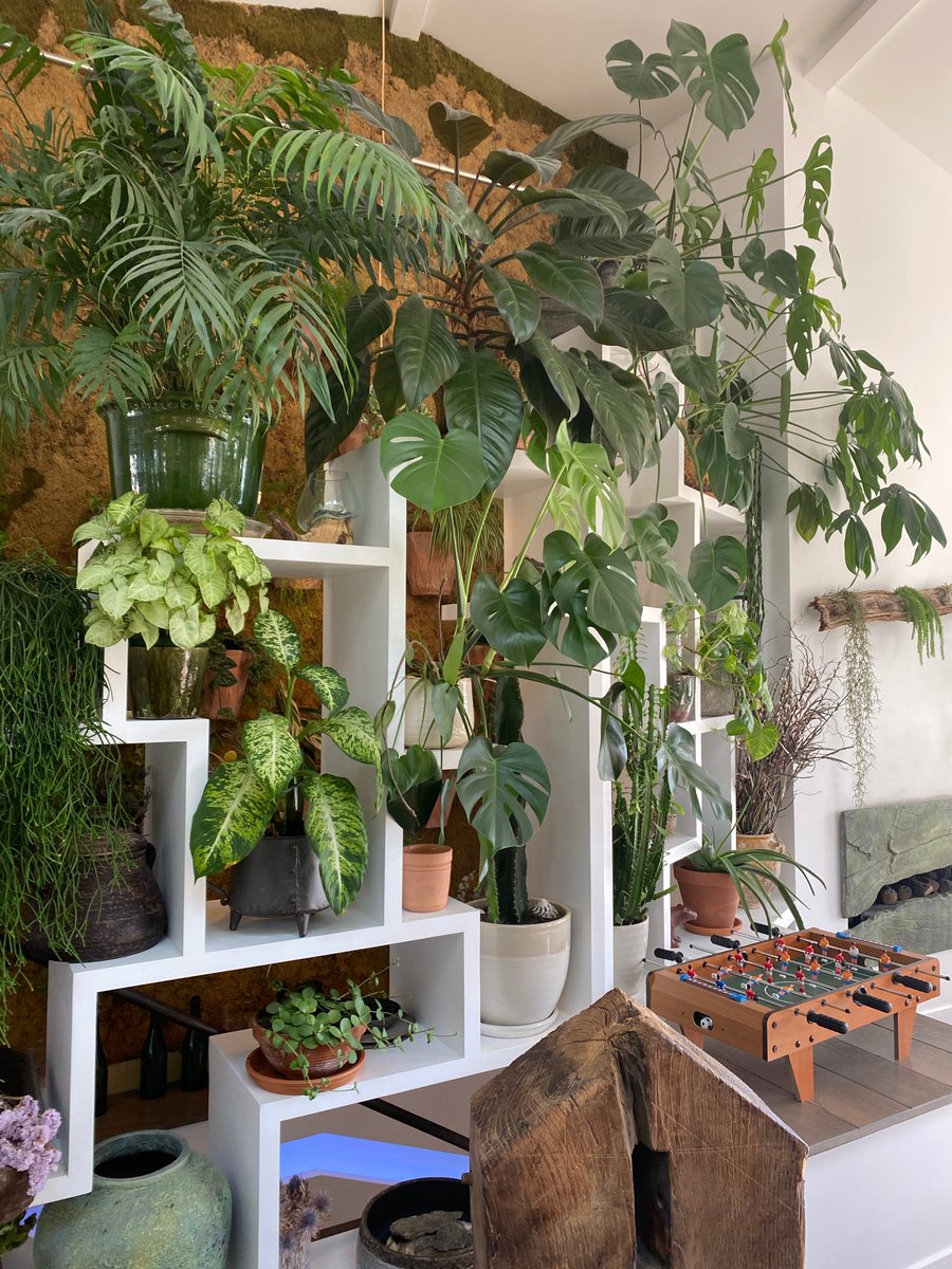 #PositiveBeauty2020 

Petit aperçu de notre événement Positive Beauty ! Cette journée nous a permis de rencontrer certaines clientes, d'échanger avec elles et de les prendre en photo. Et tout ça, dans un magnifique loft végétal dans le 20ème arrondissement de Paris 🥰🌸