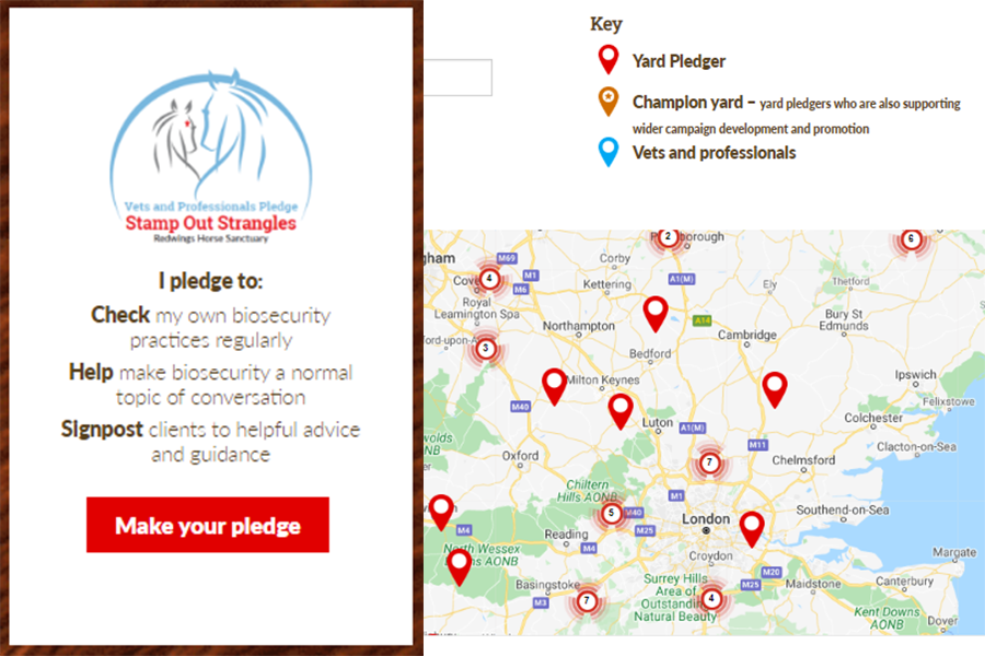 RedwingsAndie's tweet image. Please take the Vets and Professionals StampOutStrangles pledge and join hundreds of other people up and down the country who want to raise and maintain biosecurity standards.

#TogetherWeCan #StampOutStrangles

redwings.org.uk/strangles/make…