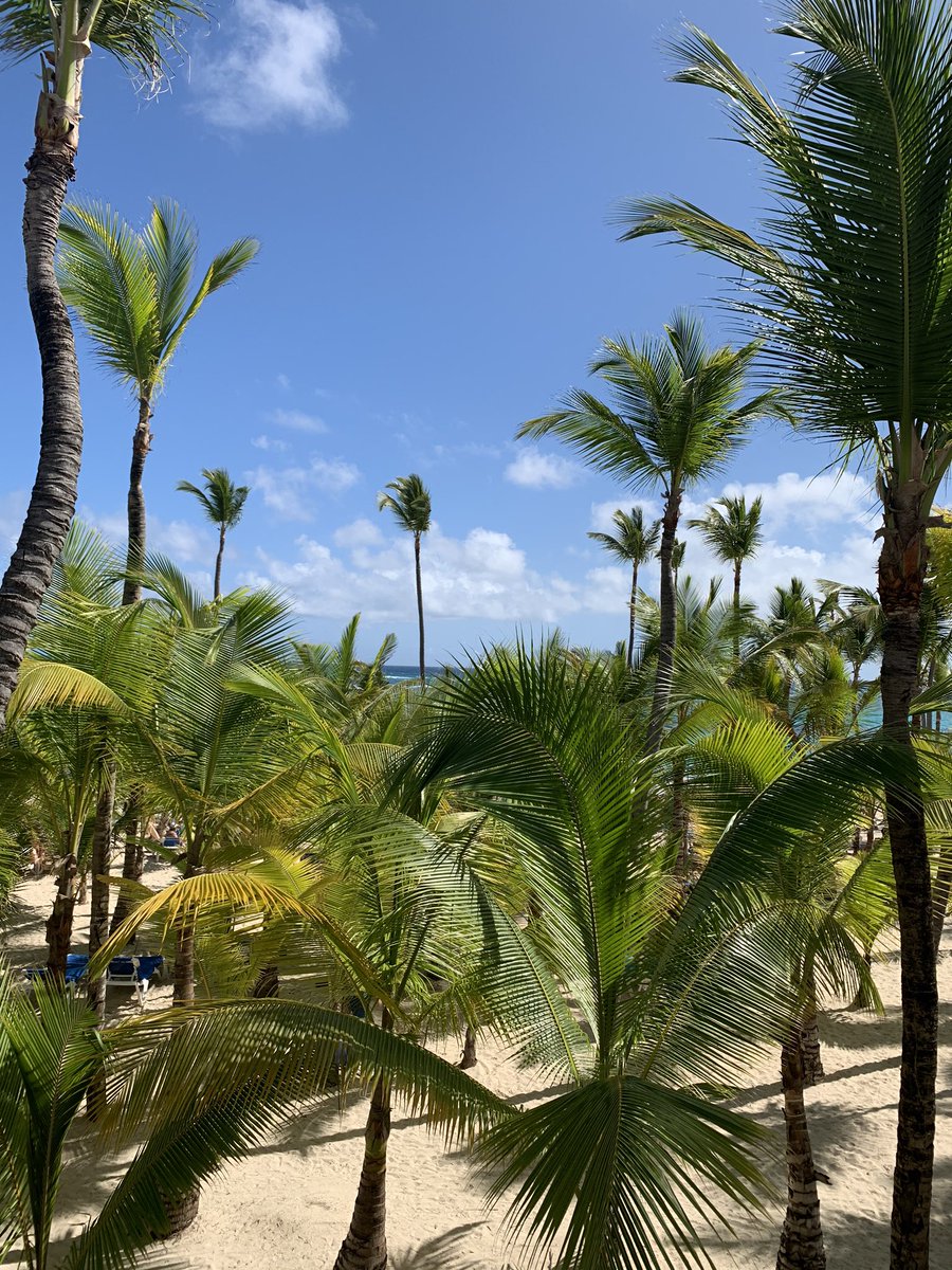 Todd Linnen tweet media