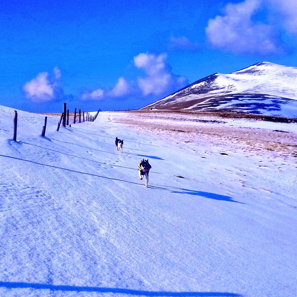 liitlenell's tweet photo. Had a amazing walk up #lonscale and onto #skiddaw this morning. Couldn't have asked for a nicer day to have a play in the snow! #cumbria #LakeDistrict @keswick_bandb @keswickbootco @FeatureCumbria @BCTGB @janslss #AdoptDontShop #bordercollies 🐕 🐕 https://t.co/bTcHPRVHN7