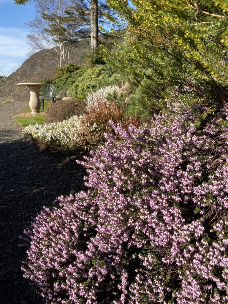 Dr Neil’s Garden opened again this morning after its first winter closure.

Horrible place to be honest as birds sing and there is zero traffic noise.

Don’t go would be our advice...