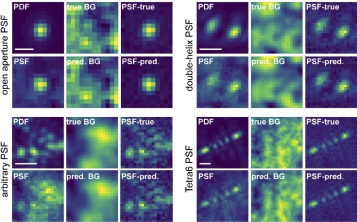 OpticaPubsGroup's tweet image. An invited paper from #OSA_BOEx: Deep learning in single-molecule microscopy: fundamentals, caveats, and recent developments ow.ly/zB8050yz2cF #SingleMoleculeImaging #DeepLearning @MoernerLab