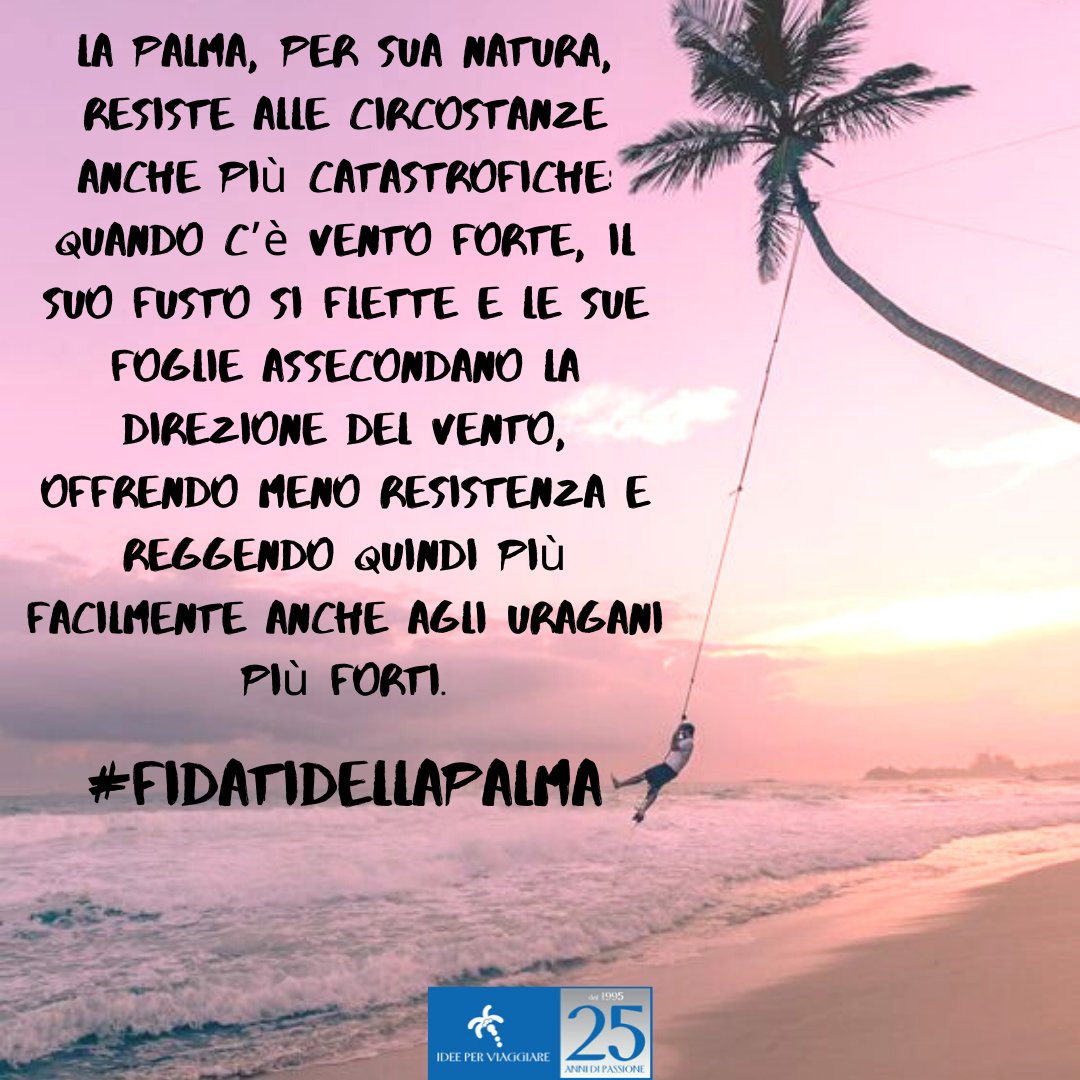 ideexviaggiare's tweet photo. Passerà anche questa tempesta e la palma di Idee Per Viaggiare ci sarà!

#fidatidellapalma #IDEEc'è https://t.co/uIgOjVJR4r