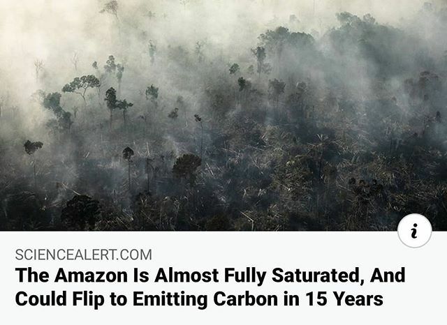 xrpadova's tweet photo. Le foreste africane e amazzoniche stanno perdendo la loro abilità nell'assorbire il carbonio emesso dalle attività umane.
In un articolo pubblicato su Nature si stima che l'assorbimento del carbonio da parte delle foreste africane diminuirà del 14% entro… https://t.co/VX64V0dSXg https://t.co/0l2zl5avhz