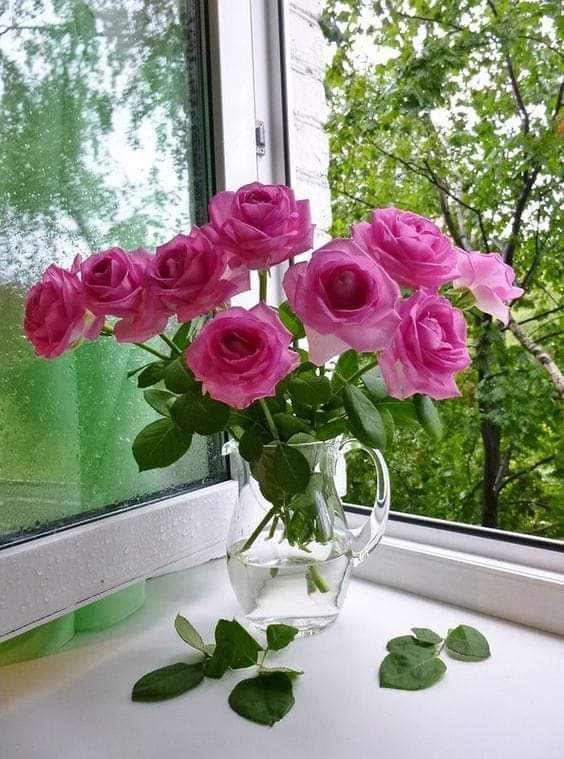 ninasevim's tweet image. С весной друзья,пусть каждому из Вас,
Теплом вольется в душу обновленье,
И с быстротою лани, каждый раз,
Сбываются мечты на удивленье