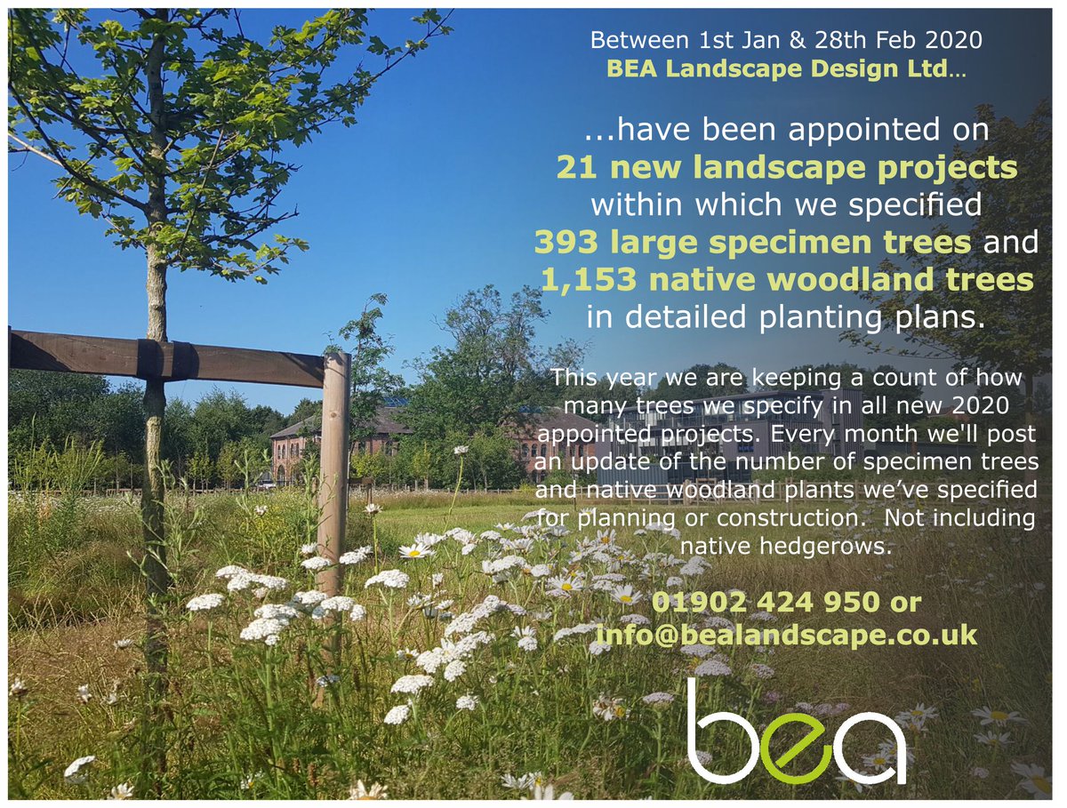 Month 2. This year BEA Landscape Design is keeping count of how many trees we specify.
Don’t forget, there’s lots of things to consider before selecting and planting trees, including soil type/ volume, water, diseases, provenance, biodiversity, services, building foundations...