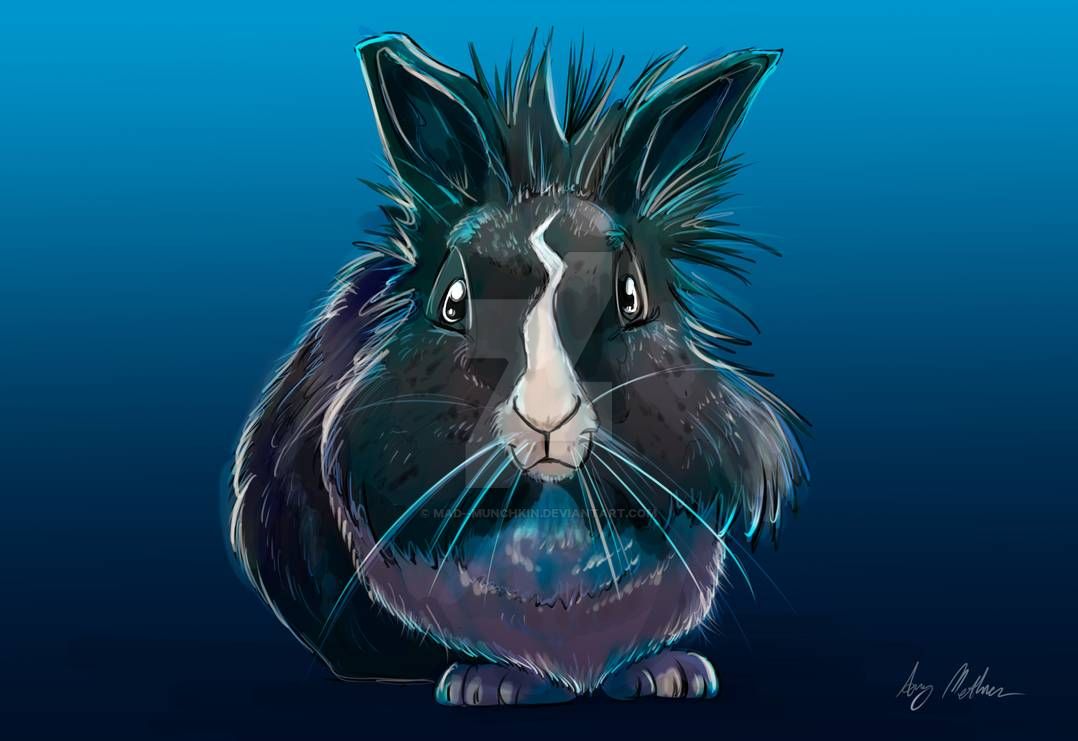 Here is a finished full body colour sketch of Rosie the rabbit.  I loved doing this piece.  Always a joy doing pet portraits. :)

If you'd like to see the progress of how this piece was made, please consider supporting me on Patreon; patreon.com/madmunchkin