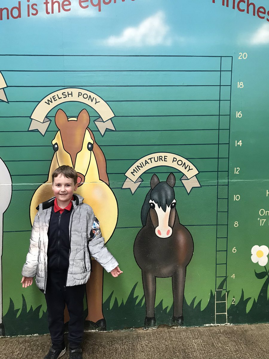 Hendrefoilan's tweet photo. We have had the best day @FollyFarmWales. #hdfp2 https://t.co/u9AnqOhL7J