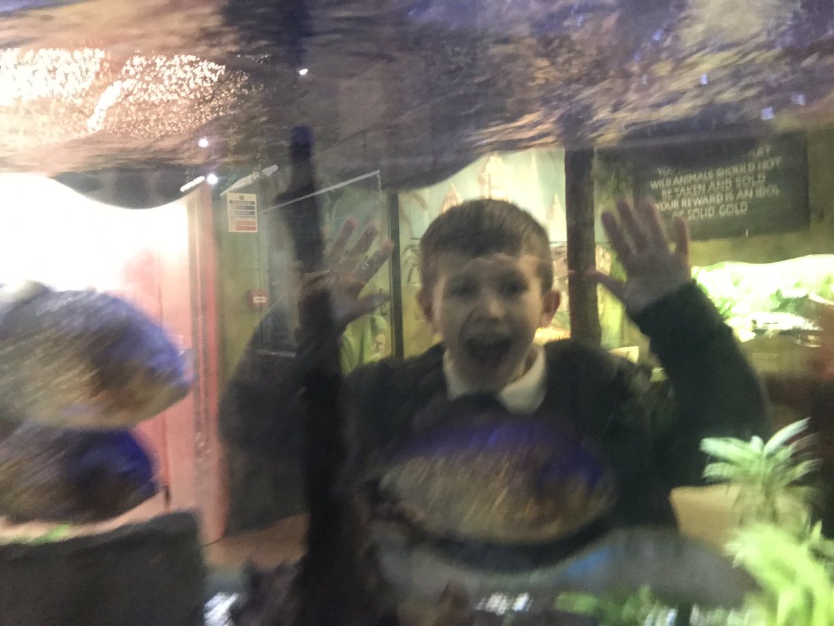 Hendrefoilan's tweet photo. We have had the best day @FollyFarmWales. #hdfp2 https://t.co/u9AnqOhL7J