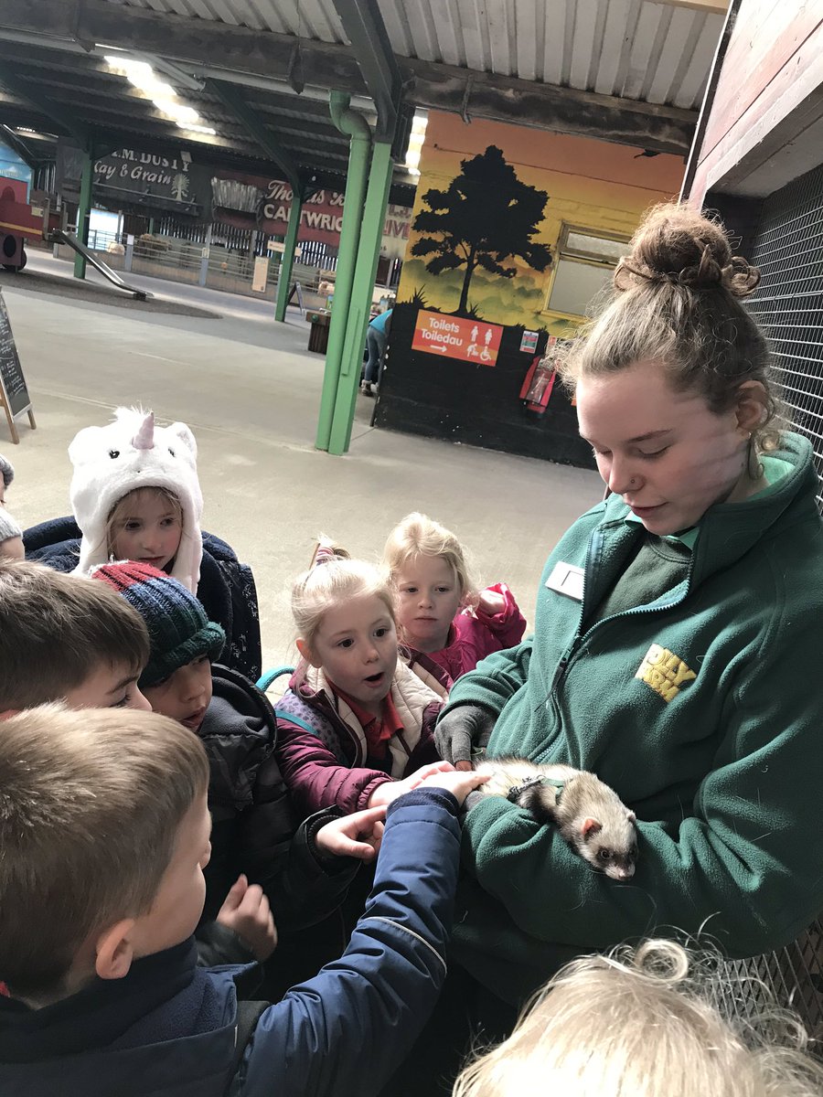 Hendrefoilan's tweet photo. We have had the best day @FollyFarmWales. #hdfp2 https://t.co/u9AnqOhL7J