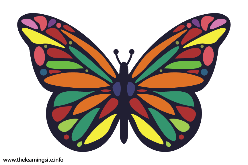 Animal Adjectives Flashcards Set 1 now available - thelearningsite.info/category/flash…