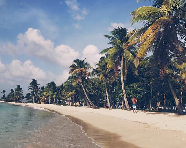 SeaChateau's tweet photo. Morning walks 🌴Tag your favorite travel buddy 🥰
.
.
.
#caribbean #ocean #paradise #britishvirginislands #travel #travelphotography #travelgram #travelblogger #coupleswhotravel #wanderlust #adventure #doyoutravel #travelmore #lovetotravel #roamtheplan… https://t.co/1Fy4ph9MDL https://t.co/X7vWcRpJiY