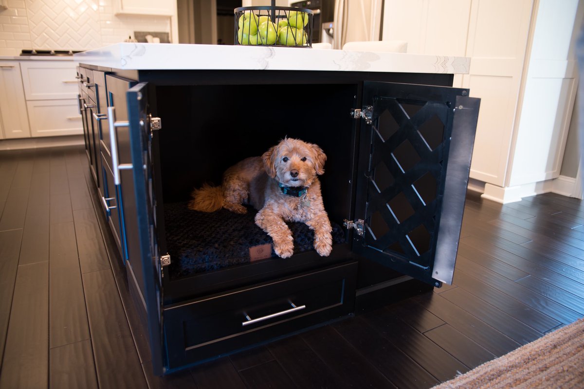 miarosedesign's tweet photo. I often find myself designing for the #furbabies 🥰🐶 https://t.co/QZFFO9UJsl