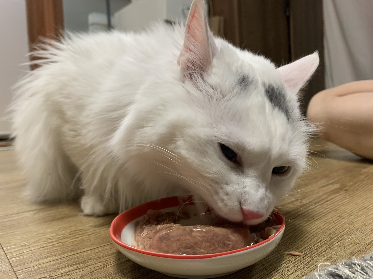 뽀르미...내년 생일은 거하게 챙겨줄게....