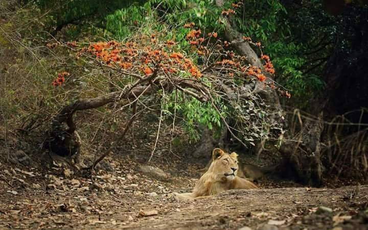 Pradipkumar323's tweet photo. ભૂલ એનાથી જ થાય જે કંઇક સારું કરવા ઈચ્છે છે, બાકી કંઈ નહીં કરવા વાળા તો ભૂલો જ શોધ્યા કરે છે https://t.co/oprjkjRueu