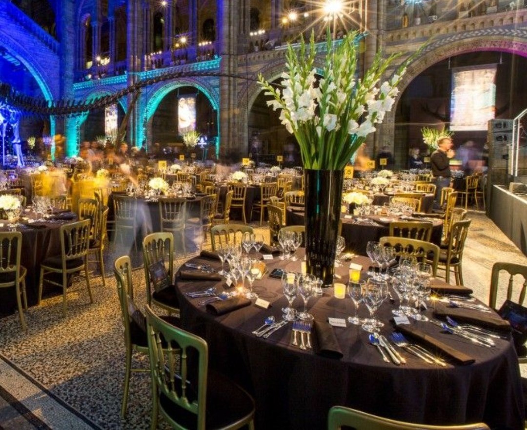Celebrate the end of a great year at this amazing venue <a href="/NHM_London/">Natural History Museum</a> 
A Christmas venue of dreams! 
#EventsproUK #Christmas #amazing #London #venue