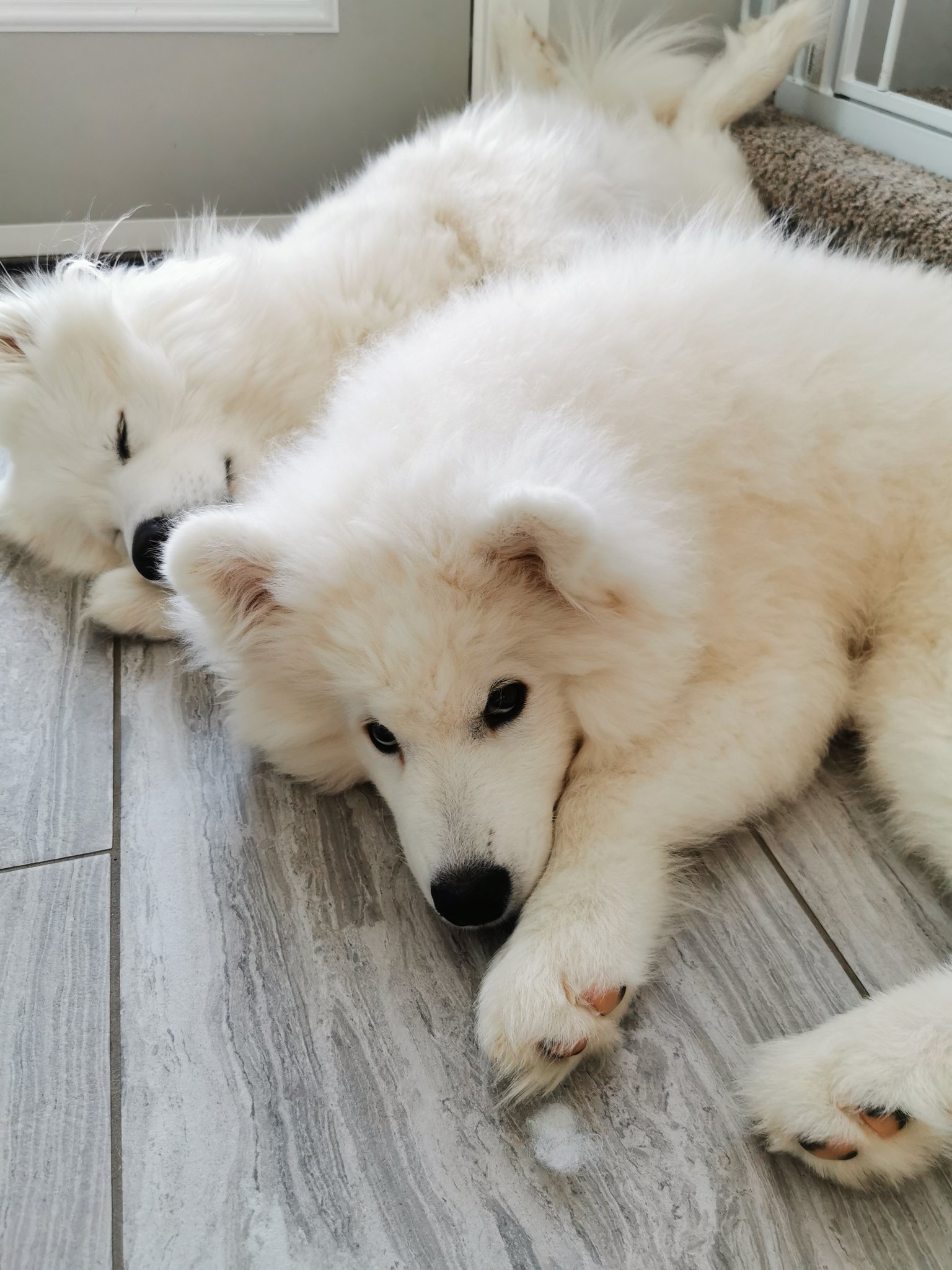 Alinity on Twitter "autumnrhodess That's always such a hard thing to