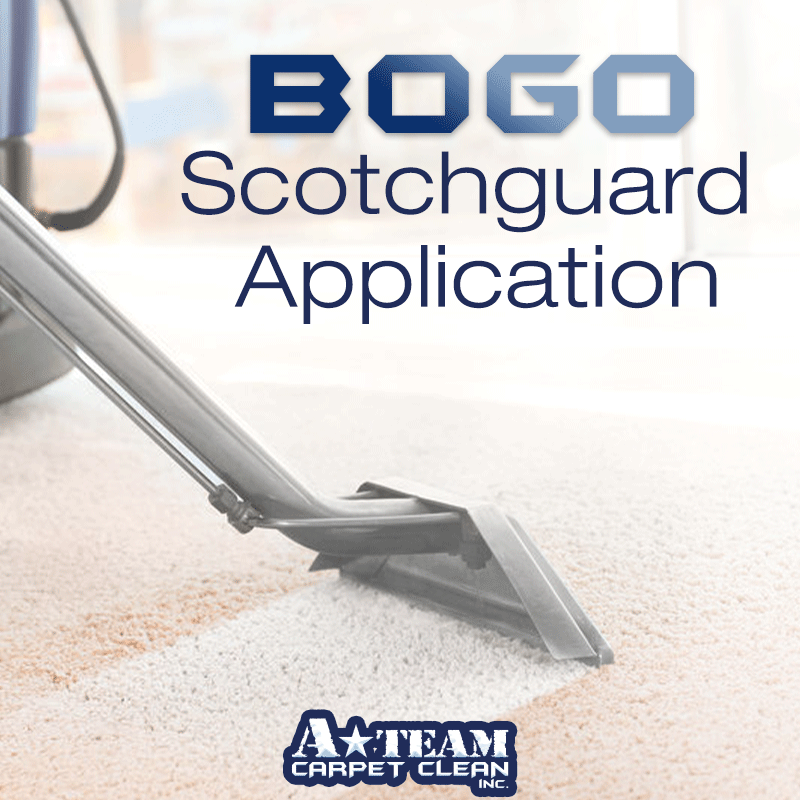 ATeamofLawton's tweet image. Take advantage of our BOGO #Scotchguard Application! Purchase the first room of Scotchguard carpet application for $20, receive the second room of application FREE! (Each room after the second is $15). ateamcarpetclean.com #ATeamCarpetClean