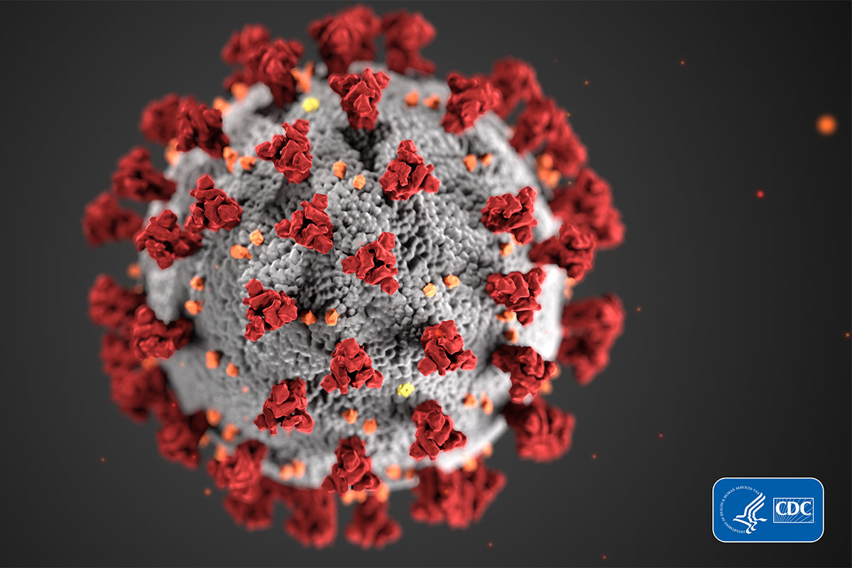 UNOmaha's tweet photo. Looking for the latest information about UNO and the University of Nebraska's response to coronavirus (COVID-19)? Visit the new coronavirus update website: https://t.co/2SK33JUEnj. https://t.co/dkaojlFdjz