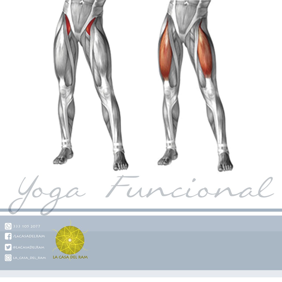 LaCasaDelRam's tweet image. ¿QUE ES EL YOGA FUNCIONAL?
Buscamos el objetivo o la #disfunción que #restringe el #movimiento. #YogaFuncional #FuncionalYoga #Yogapractica #yoga #yogaterapia #yogaterapeutico #YogaCorrectivo #Certificaciones facebook.com/LaCASADELRAM/ informes@lacasadelram.com.mx
