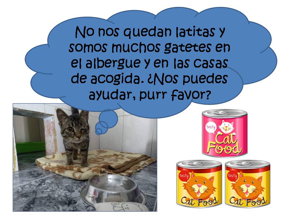 Asoka El Grande tweet media