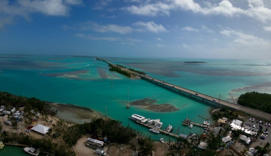 BlueMarlinMotel's tweet photo. Look at all that water just waiting to be explored! #FloridaKeys #US1 #7mileBridge https://t.co/fGXnnSHD6I
#floridakeys #getonislandtime #islandtime #bookit #makeithappen #ThursdayMotivation #Thursday #thingsyoumustdo #bucketlist #donecheck #thendoit #justdoit https://t.co/mxpisHUW80