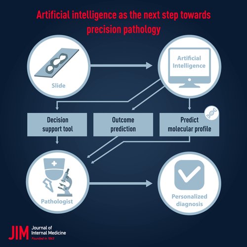 JInternMed's tweet photo. Artificial intelligence as the next step towards precision pathology – read new review from @karolinskainst
https://t.co/GS0NXMyHXQ
#Artificialintelligence #deeplearning #digitalimageanalysis #digitalpathology #machinelearning #pathology https://t.co/mzPBmfz4eJ