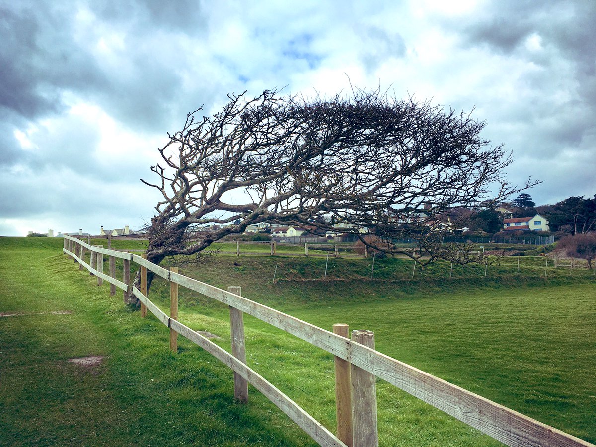 rbenton_'s tweet photo. How does the wind reveal itself? @SharonWitt17 @Attention2place Quite dramatically on this bit of coast! #geographyteacher #geographymatters #geographyalways https://t.co/W13bM6dnm7