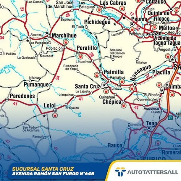 AutoTattersall's tweet photo. ¿Eres de Santa Cruz? Ven a nuestra sucursal y te ayudamos a elegir el auto de tus sueños!

#autotattersall #chile #autosusados #autosusadoschile #autotattersallconcesionarios #concesionarios #autotattersallchile #revisionesanuales #revisióntécnica #homol… https://t.co/x2fab2wNVr https://t.co/8aO7NvIQ5O