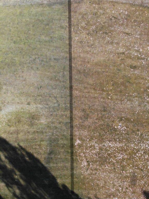 Late Feb drone shot of leaving an untreated area to show golfers importance of preventative maintenance like snow mold apps. Mirage/Interface applied in Nov on left. Good work Twitterless Kyle Watt at Awbrey Glen! With @JamesHempfling