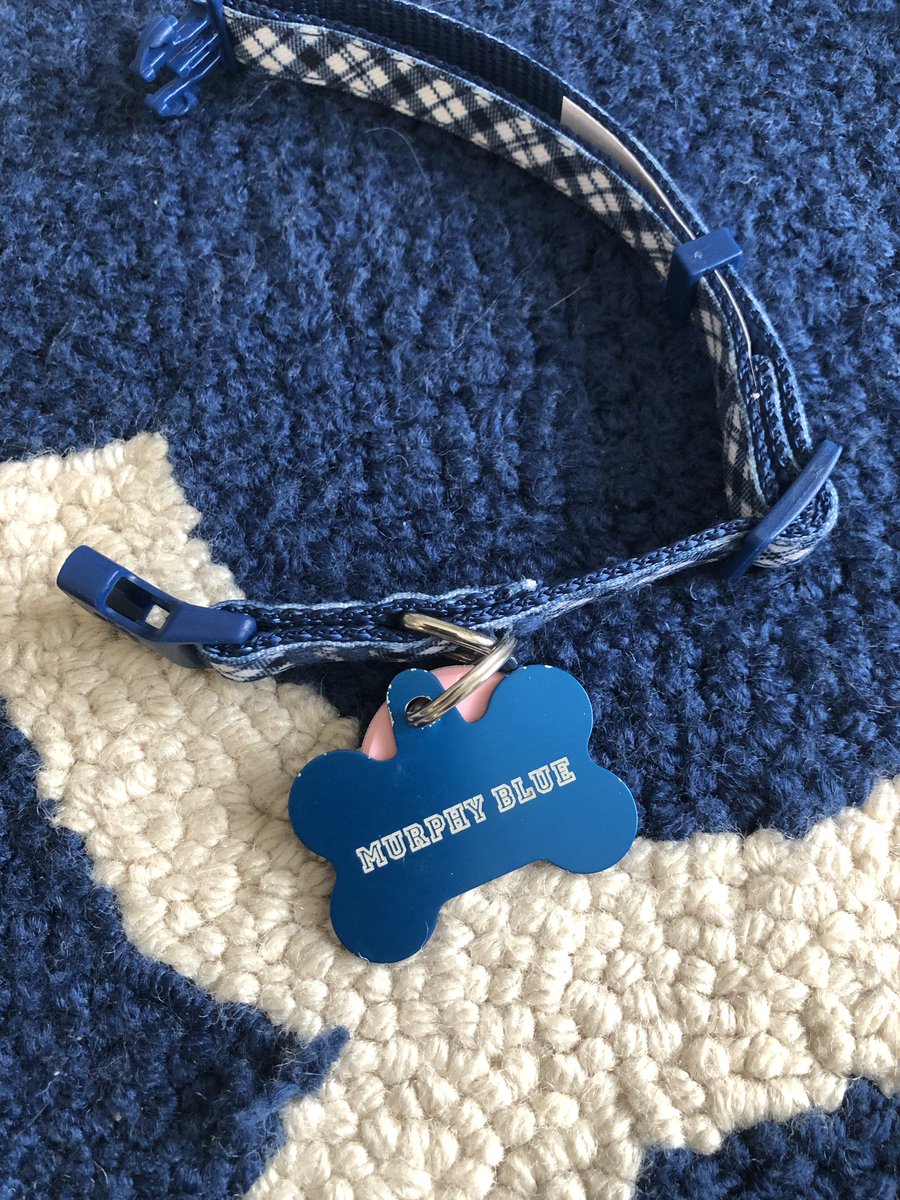 Introducing Murphy Blue Weiss💙🐶 

Tanner wanted to name him “Blue,” of course, but we reminded him that the name was pretty taken, so he settled for “Blue” as the middle name. Going to have to grow into his big boy collar! 

Ready if you need a wingman <a href="/TheButlerBlue/">Butler Blue IV</a> 🐶🐶