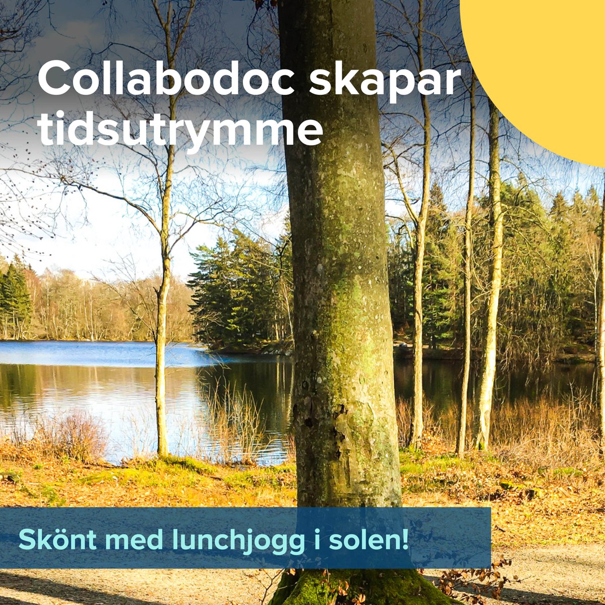 CollabodocAB's tweet photo. Collabodoc på intensiv turné hos nuvarande och blivande samarbetspartner i Gislaved, Nässjö, Karlshamn, Karlskrona och Kalmar. Skönt att med våra produkter kunna skapa tidsutrymme för t ex lunchjogg i solen!
#primärvård #collabodoc #lättakuten #nyaprodukter #sjukvård https://t.co/oFOdEiCr8x