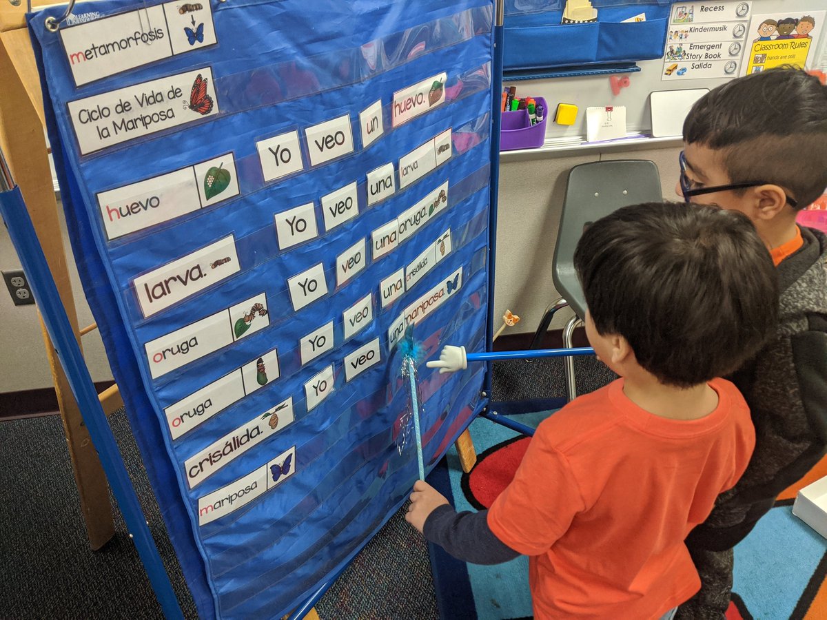 AndreaBarnes83's tweet photo. Reading this morning in Pre-K during literacy tubs. 🥰 🦋 @LeeCFISD #HoorayforPreK #cfisdpk1 #SharedReading #IntegratingScience https://t.co/Zk5pvQamNg