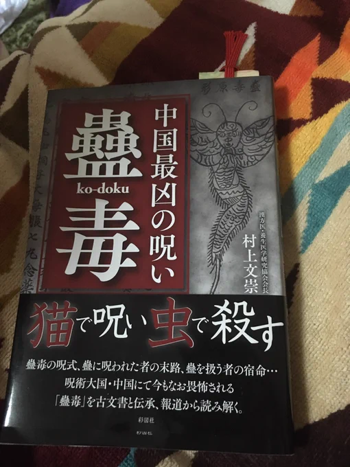 目が覚めちゃったので御本読も…? 