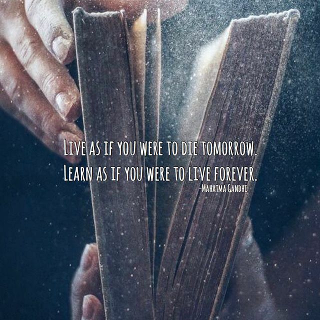 Ambition Daily tweet media