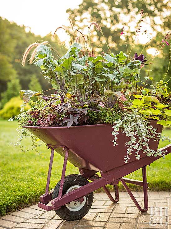rick_carruth's tweet photo. Make your #garden mobile by planting one of these types. #homeprojects  https://t.co/fUgPUswCpC https://t.co/rZF67PnWTd
