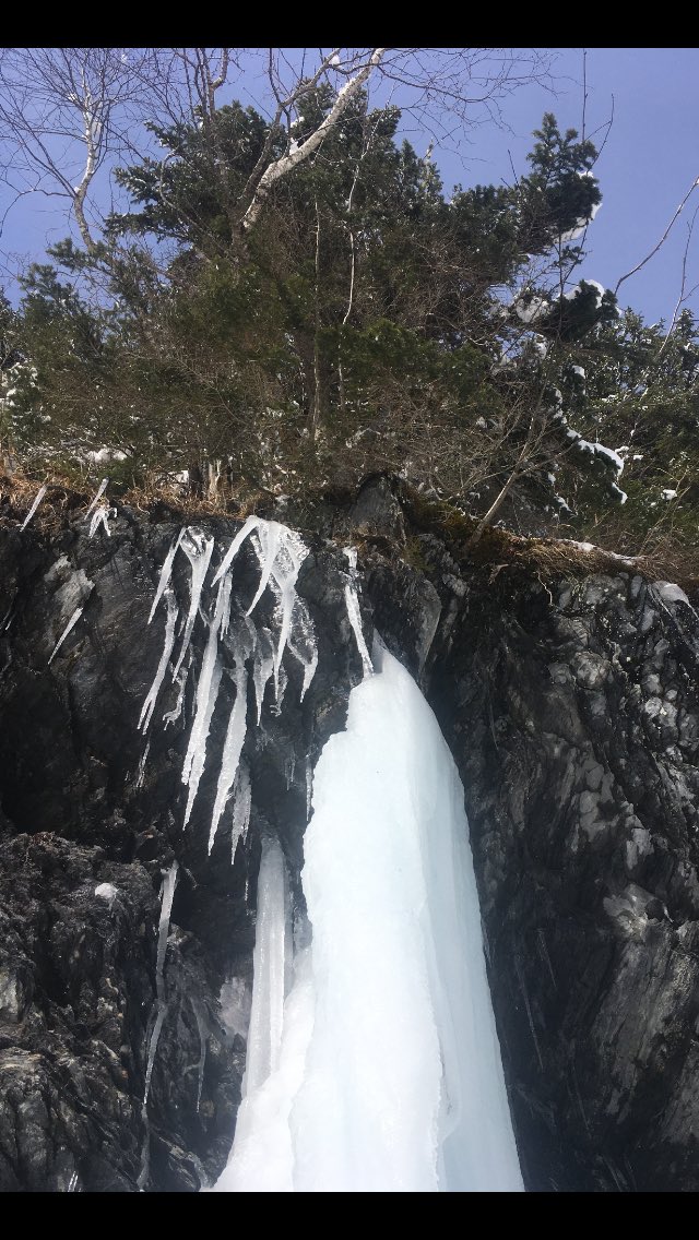 Marco_Onida's tweet photo. Air, trees, soil and water. The ingredients of life. #nature #biodiversity #ForestEU @EU_ENV https://t.co/xQ8GsGiSqq