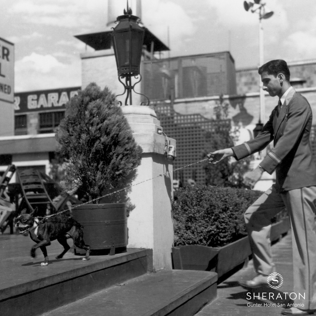 Sheraton_Gunter's tweet photo. In July 1989, the historic Gunter Hotel first joined the global network of Sheraton Hotels. At the time, it was only the fourth historic hotel in the United States to join the Sheraton organization. #History #TBT https://t.co/AivZqemFod