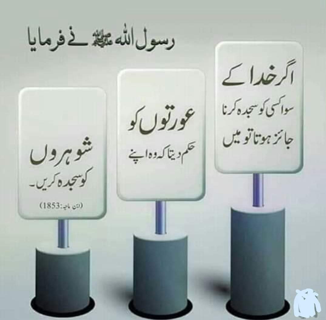 Shabnam_pti tweet media