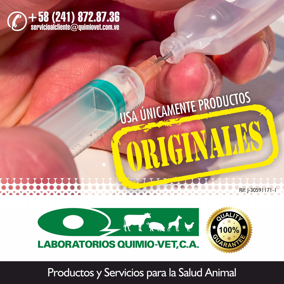 QuimioVet's tweet photo. Los animales que están bajo nuestro cuidado implican una gran responsabilidad ✔️ Es por ello, que invitamos a toda la comunidad veterinaria a verificar el origen de los productos.#quimiovet #medicinaveterinaria #porcinos #ovinos #equinos #bovinos #ganado #venezuela #agroindustria https://t.co/ucpgoXbO2u