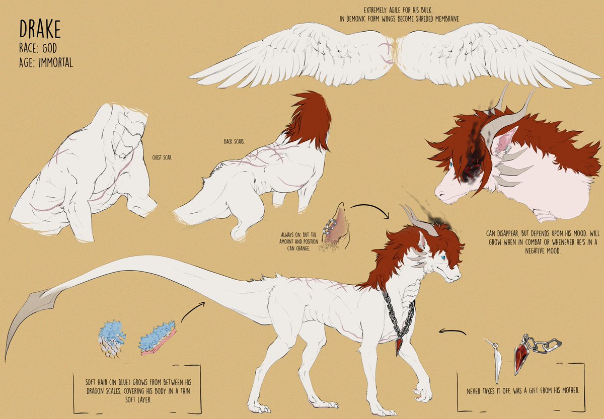 DrakeTheAngel tweet media