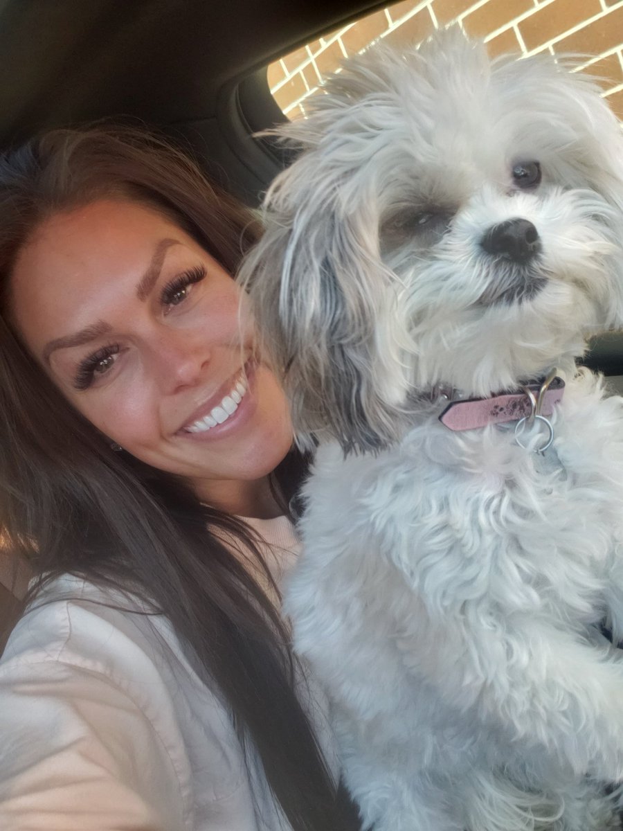 WhisperingDENKC's tweet photo. Running errands together is our favorite! #dogsthatdrive #shihpoo #dogslife #runningerrands #carrides https://t.co/msB3jOXrMH