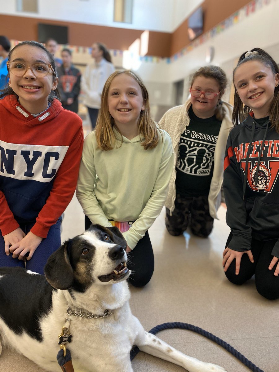 galvinbuddies's tweet photo. What a great day @GalvinMS. Officer Kelley brought Mac in for the day, and our Galvin Buddies got to spend some time with him after school.  What fun! #certifiedgoodboy https://t.co/Zg2zbzsfjr