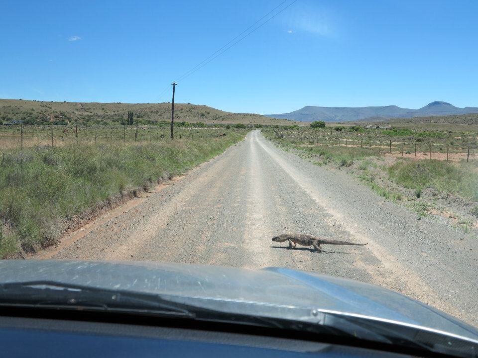 Piazoic's tweet photo. Some old haunts on my mind this #ThrowbackThursday Years of work are coming together in a paper I hope will be submitted in the next month or so #karooheartland #nieubethesda #compassberg https://t.co/G6VH2Ias9f