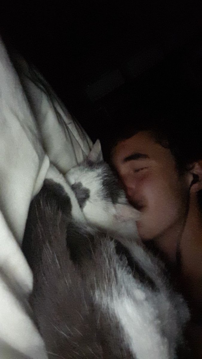 Hernin2's tweet photo. Rt pour Kevin fav pour Laugane je sais pas choisir https://t.co/UTQv67itzr