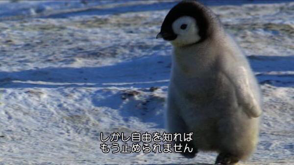 plus1feed's tweet image. 