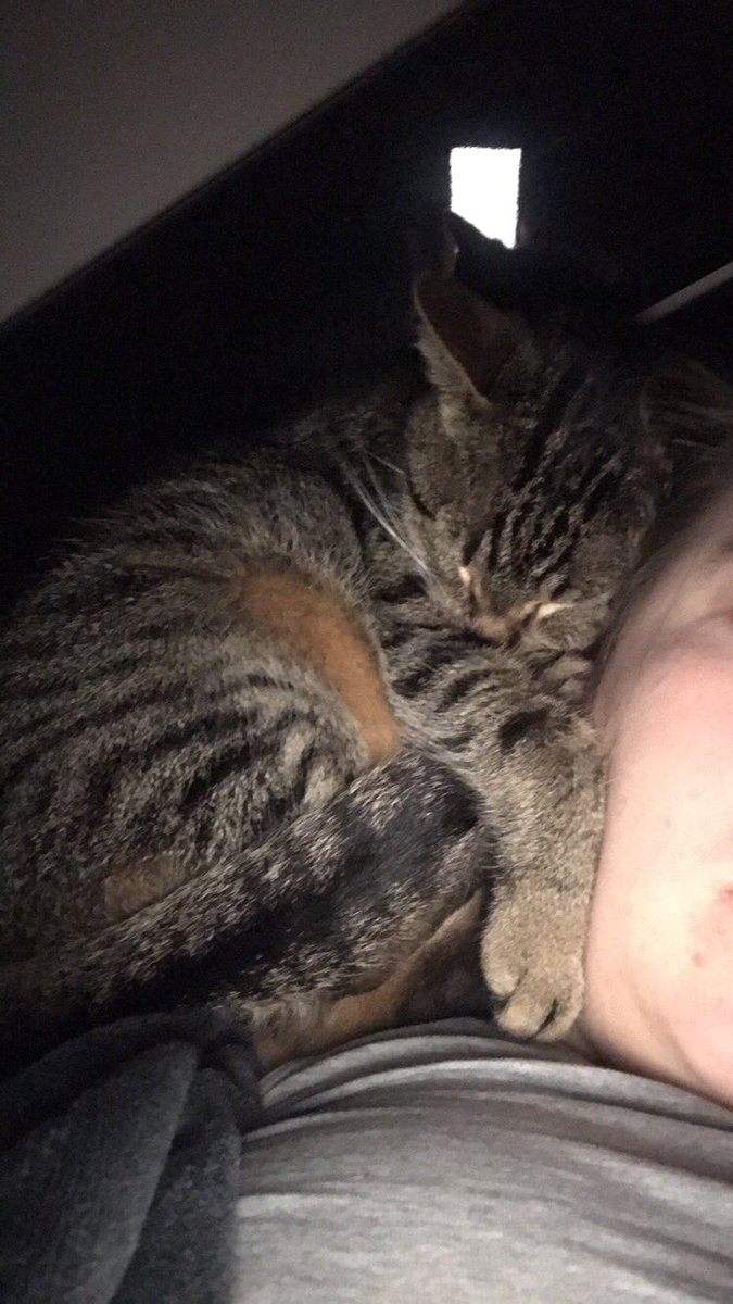 pixelchat62's tweet image. Que je fais le grododo maman dit elle va avoir mal au cou